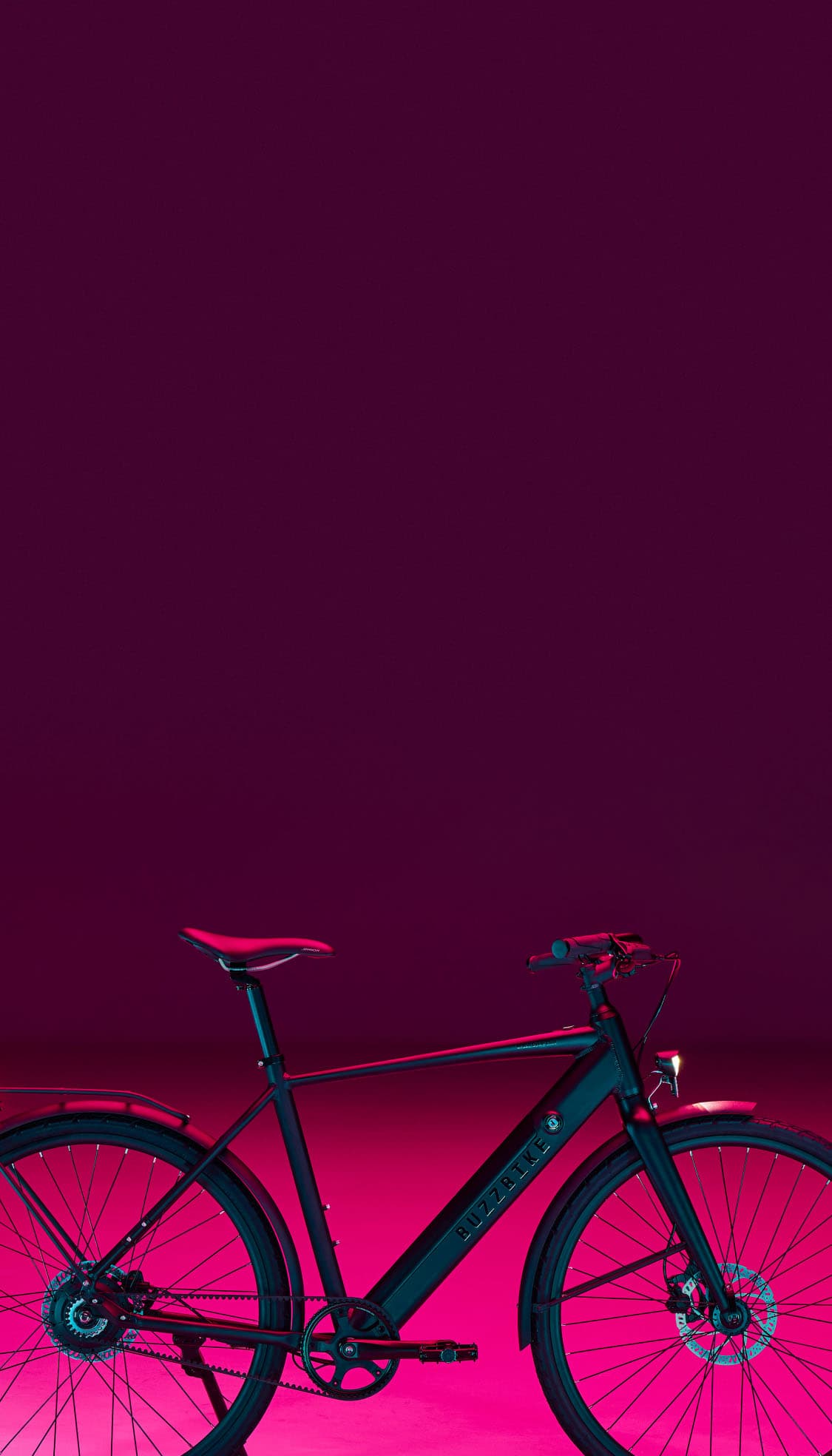 Buzzbike ebike