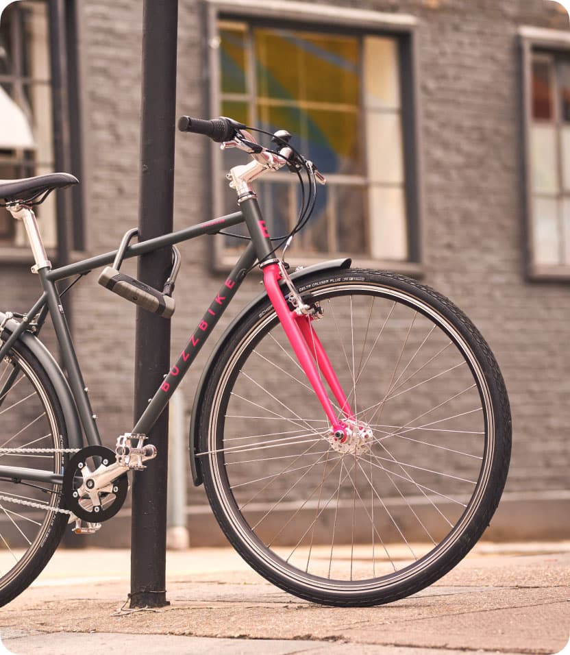 Gold Standard D-Lock