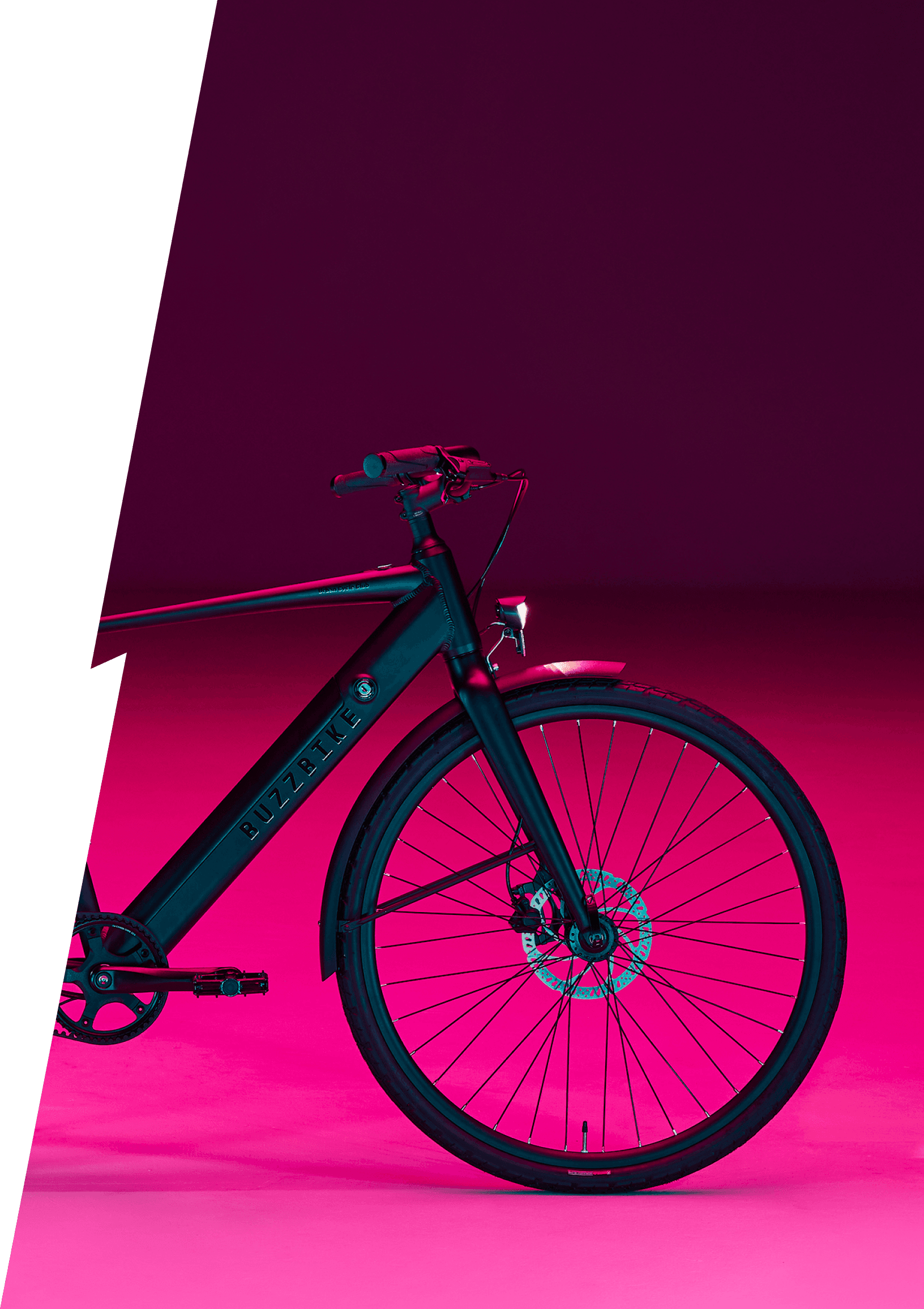 buzzbike-ez